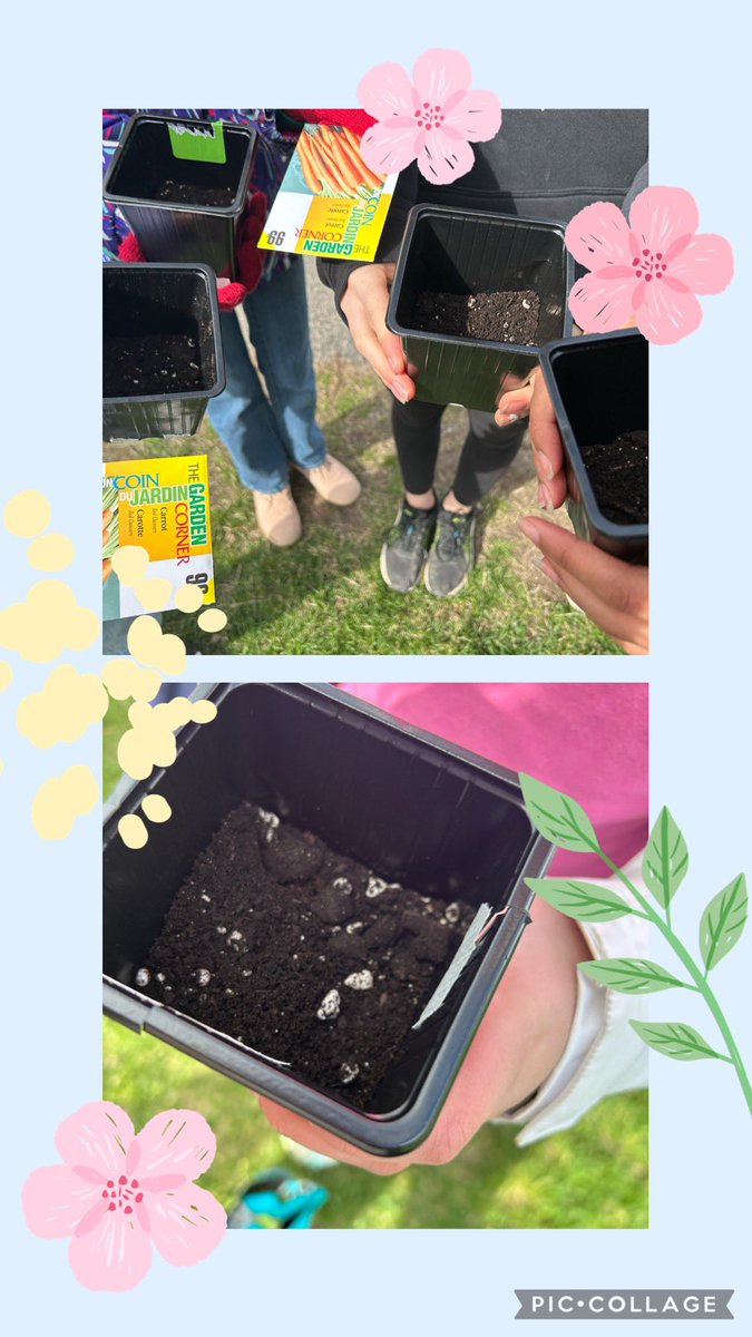 msspitale's tweet photo. The grade 6/7s learned about sustainability & planted vegetables. They will tend to them as the weeks go on and their caring ways will lead to yummy veggies I’m sure! #EarthDay2023 #dcdsb #garden https://t.co/B2GtZ24xcc