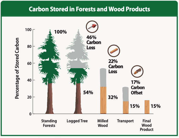 TorranceCoste's tweet photo. A reminder that the ad or sponsored tweet you'll see today insisting "forest products are climate-friendly alternatives!" will absolutely omit the fact that the vast majority of carbon in a forest doesn't make it into final products.

Don't fall for the greenwashing. https://t.co/ycwo6KM0RV