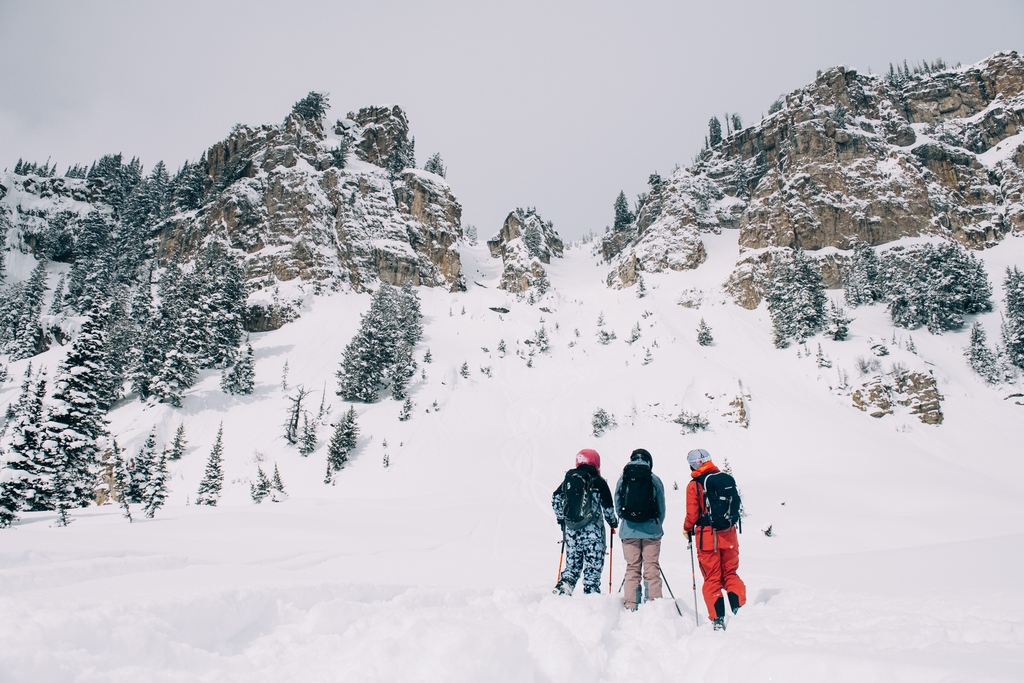 Teton Gravity Research tweet media