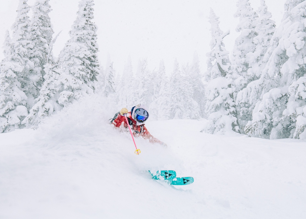 Teton Gravity Research tweet media