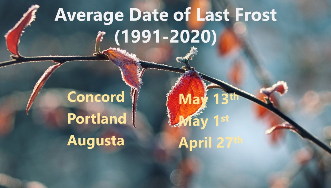 After our recent balmy nights, temperatures tonight are expected to reach near to below freezing for most of the area with the exception of southeast NH, along the coast, and into the Kennebec River Valley. It won't be long now until our last frost! #NHwx #MEwx