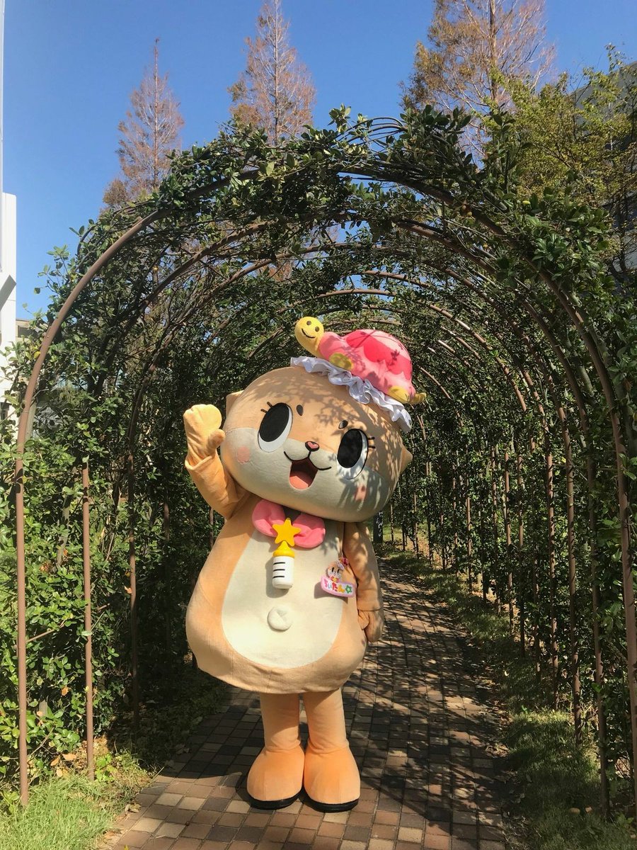 cortiodani's tweet photo. Beautiful garden, Chiitan!🌿🌼🐢🍀🌷🌳🌹 https://t.co/ULq16MX3go