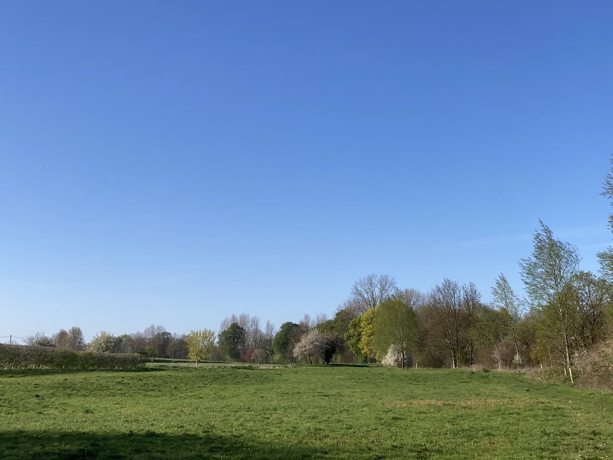 Celia Hart tweet media