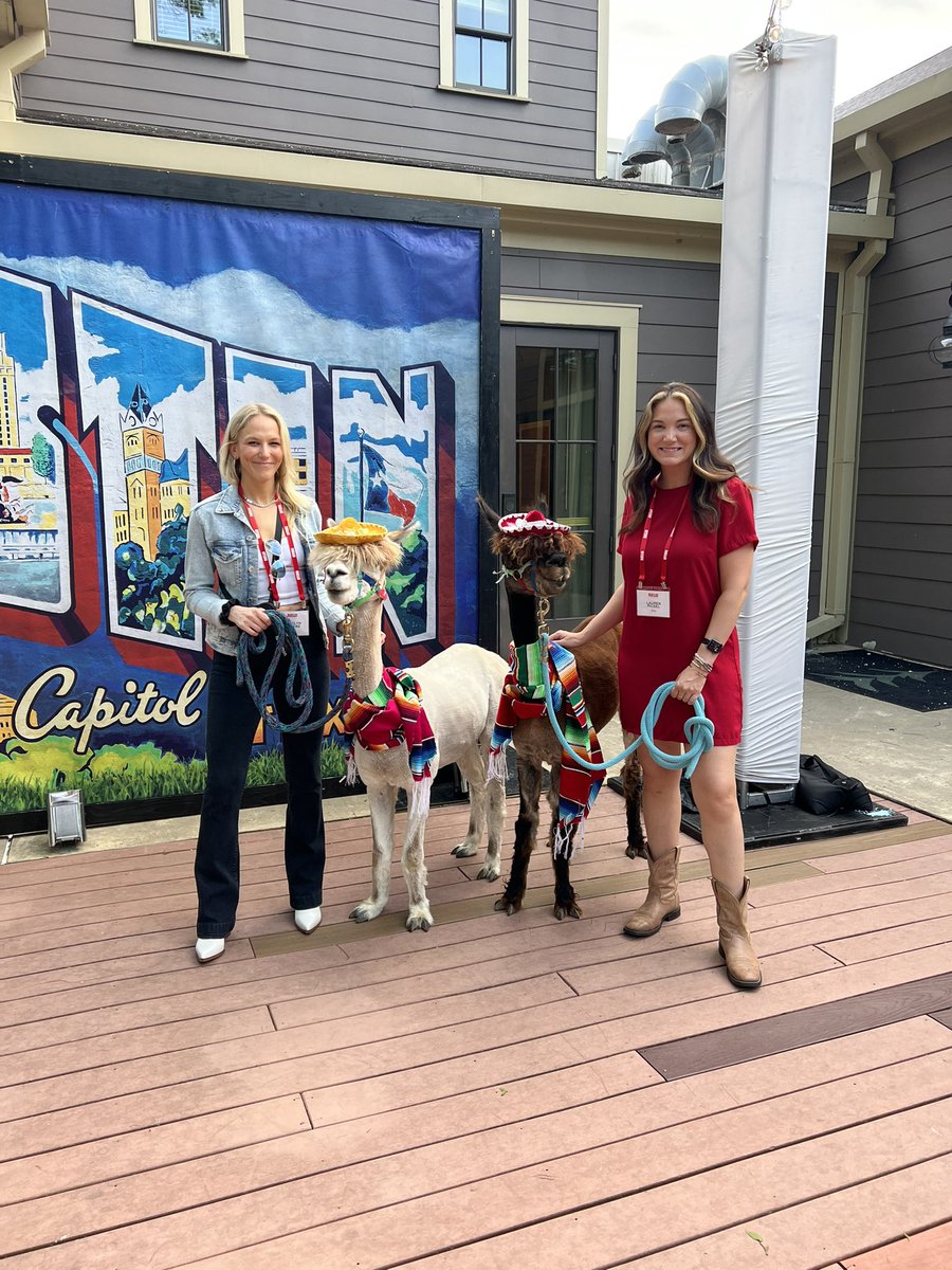 laurpicks's tweet image. Another successful week of client events in the books with team ☑️ 

You know we had to celebrate with beer burrows and alpacas for the closing reception🍺🦙 

#eventmanagement #clientevents #eventagency #eventlife #texas