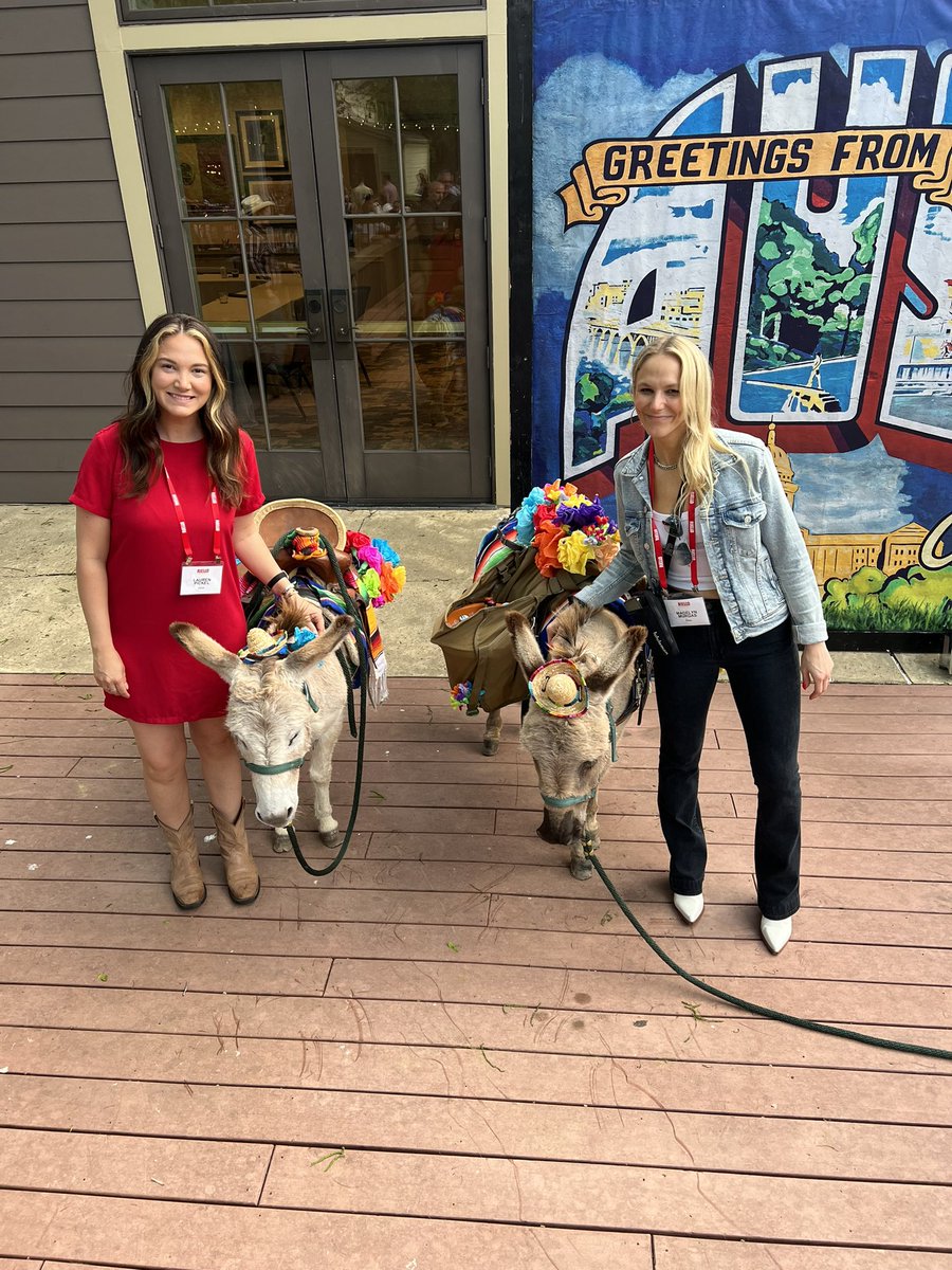 laurpicks's tweet image. Another successful week of client events in the books with team ☑️ 

You know we had to celebrate with beer burrows and alpacas for the closing reception🍺🦙 

#eventmanagement #clientevents #eventagency #eventlife #texas