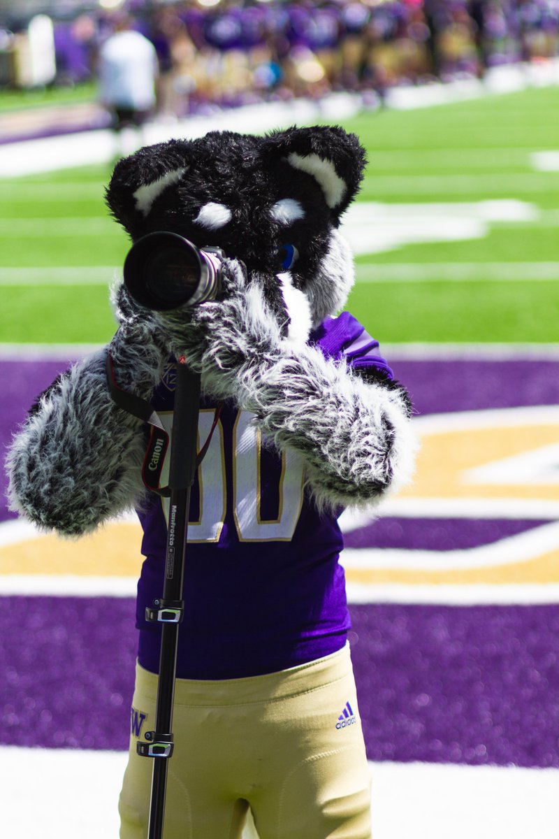huskyband's tweet photo. This Saturday #TheLoyalBand is back on Montlake for the 2023 Spring Preview!! 

Join the HMB as we support the Huskies as well as welcome over 100 high school band students for our annual Junior / Senior day!

#GoHuskies https://t.co/tgRwxGTNxk