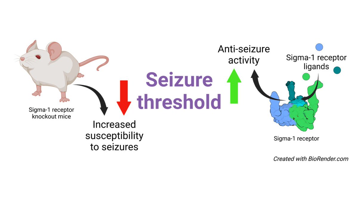 fat4brain tweet media