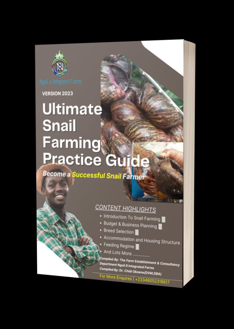 Chidi Okoene tweet media