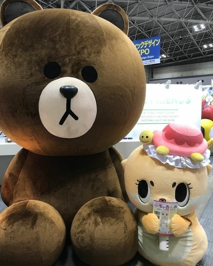 cortiodani's tweet photo. You can 't fight with that big , brave and strong bear, Chiitan!🐶😂😂😍🍼 https://t.co/97ycJ4IvUP