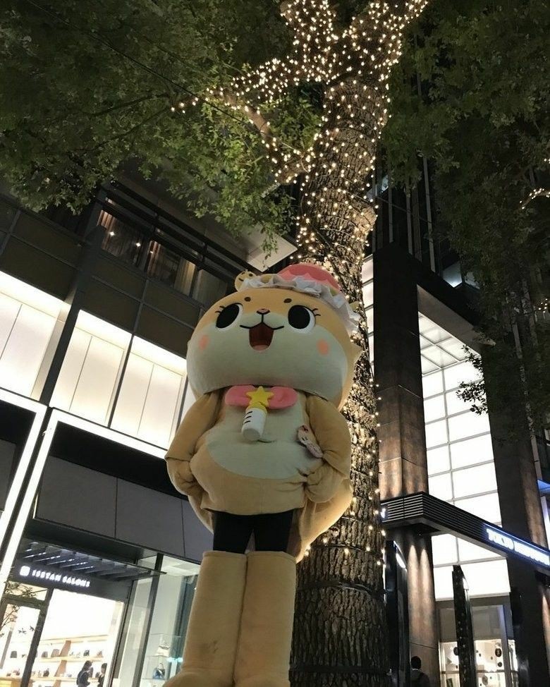 cortiodani's tweet photo. You are there, Chiitan🌼🍼🐢 https://t.co/4SBA4G5yyP