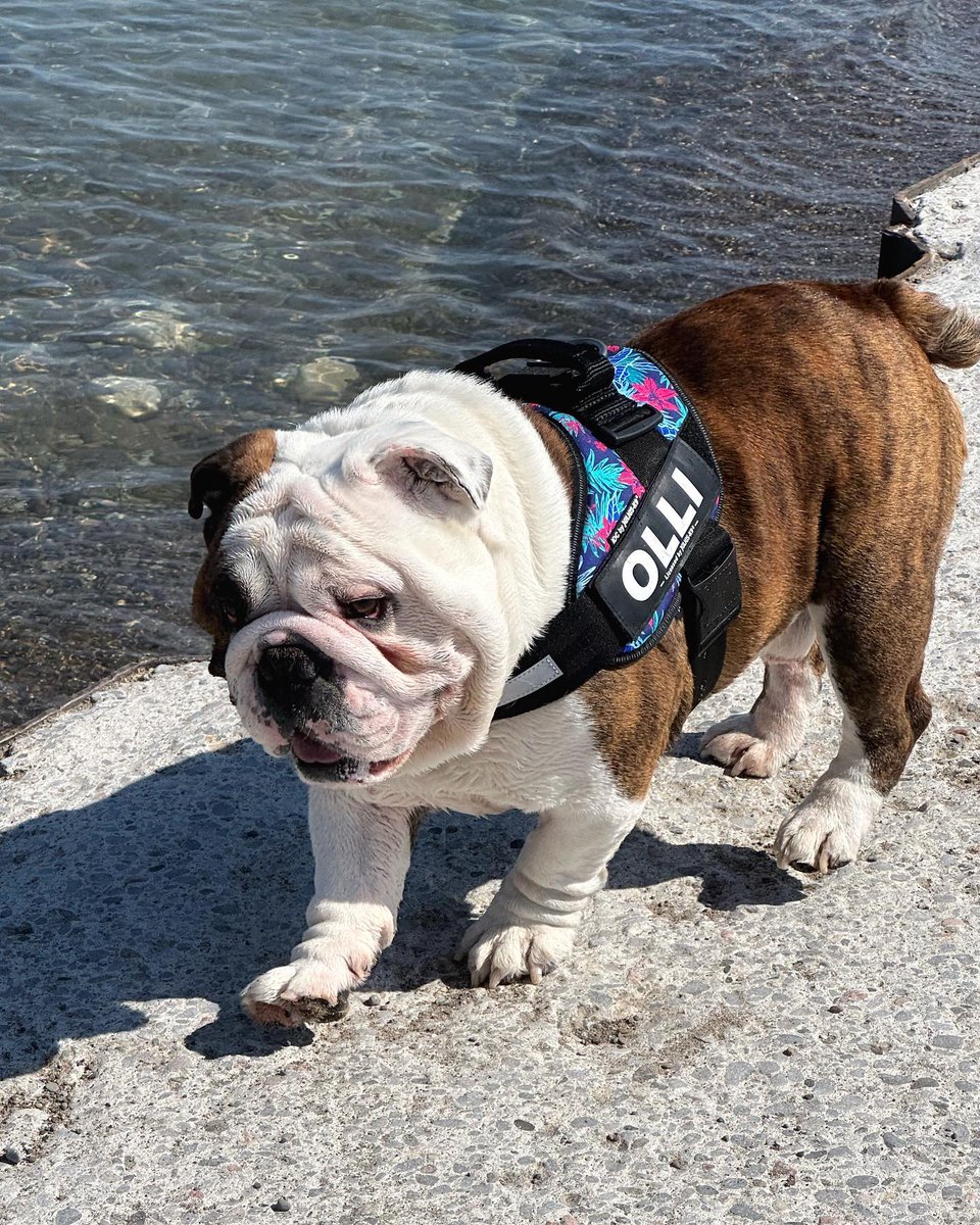 Best Escape Anyone Can Have! Beach days are the best days. Happy weekend 🤗☀️🏖️💦