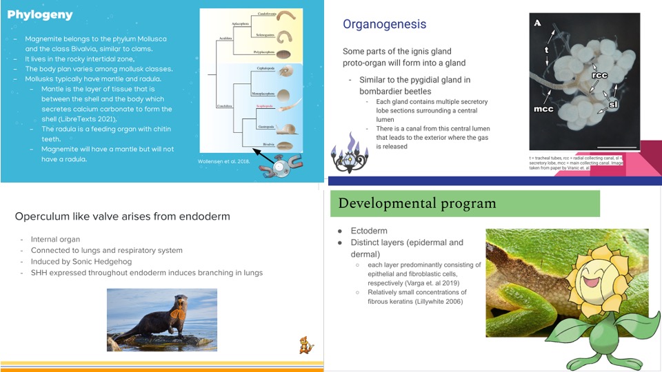 FungalEvoDevo's tweet image. Day 1 of #Pokemon developmental biology presentations. Here&apos;s a few highlights from today&apos;s talks! Students were super creative in explaining development in novel contexts! #DevelopmentalBio