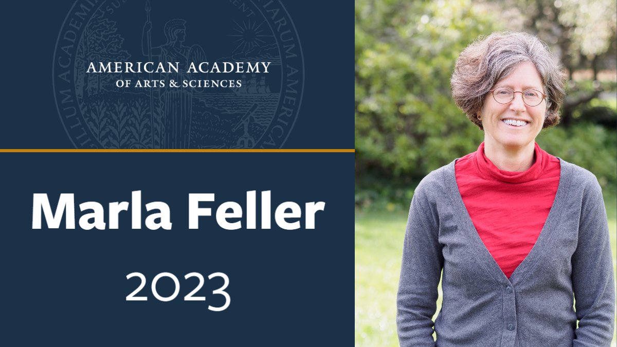 UC Berkeley MCB (@berkeleymcb) on Twitter photo Congrats to MCB's <a href="/FellerMarla/">Dr. Marla Feller</a> for being elected to the American Academy of Arts & Sciences <a href="/americanacad/">American Academy of Arts & Sciences</a>! 👏🎉 amacad.org/news/2023-memb… Congrats to MCB's <a href="/FellerMarla/">Dr. Marla Feller</a> for being elected to the American Academy of Arts & Sciences <a href="/americanacad/">American Academy of Arts & Sciences</a>! 👏🎉 amacad.org/news/2023-memb…