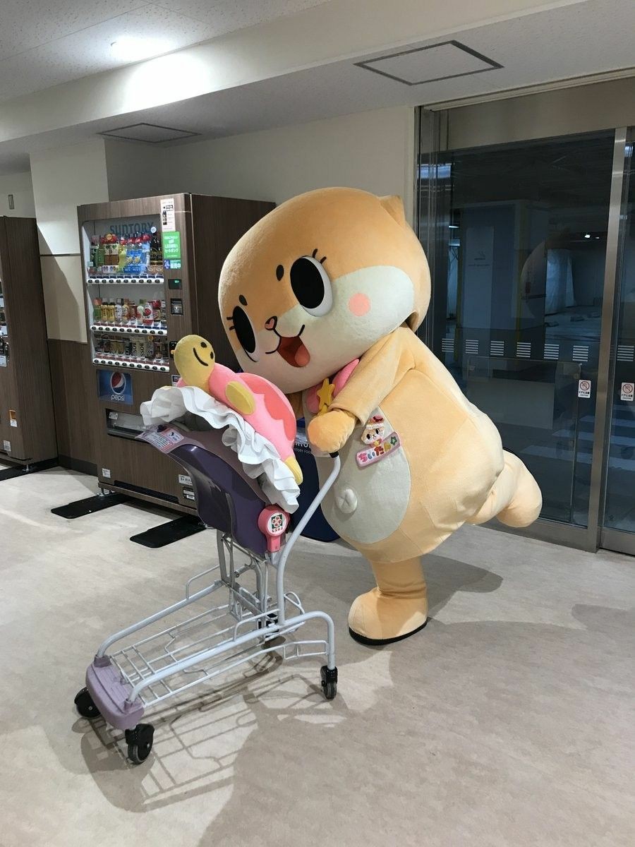 cortiodani's tweet photo. Enjoy your day, Chiitan!🌼🍼🐢💕🌟 https://t.co/avM0Xkxind