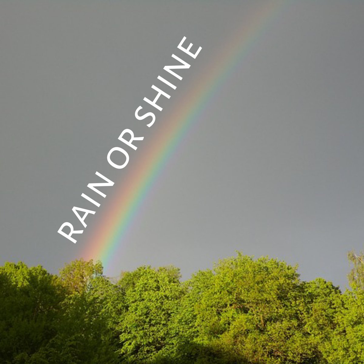 Davis Drive Elem PTA 21 tweet media