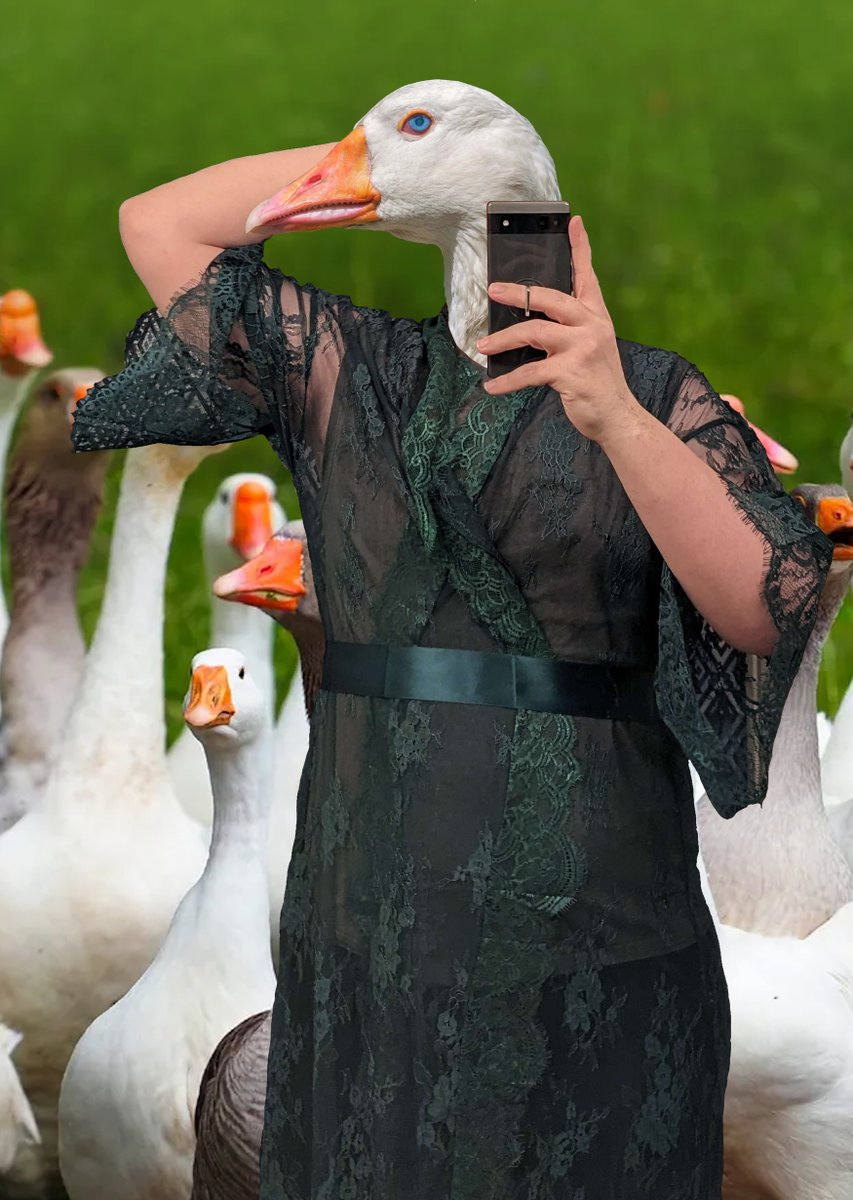 yashiwiki's tweet photo. Welp. Hase redeemed another robe on stream. Luckily it didn't take 45 days to get here. https://t.co/8j1qdBBaUE