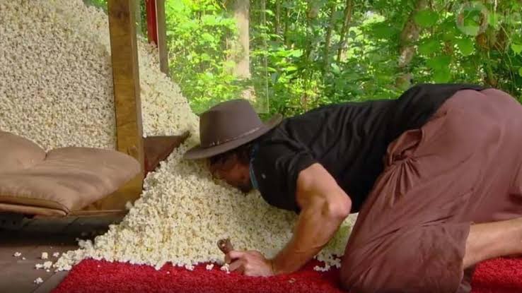 Australian Survivor Archives tweet media