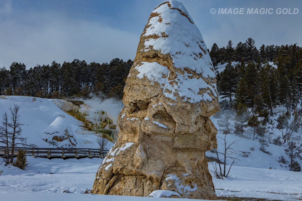 Capt. Cris tweet media