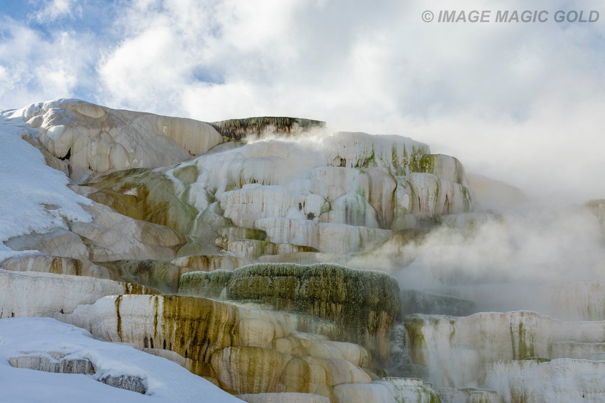 Capt. Cris tweet media