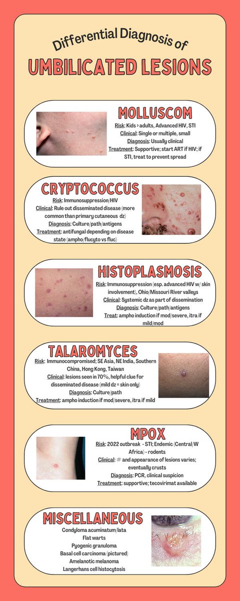 University of Missouri Infectious Diseases tweet media