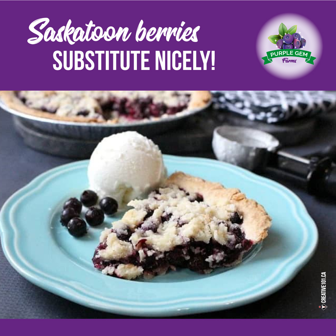 Happy #NationalBlueberryPieDay 
Ya know, Saskatoon berries can be substituted for blueberries in any recipe! 😉 Enjoy some Saskatoon pie today! 😋

#SaskatoonBerries #BerriesAlberta #LeducBusiness #BerriesForRestaurants #BerriesForBakeries #BerriesRetail #NaturesLittleGem