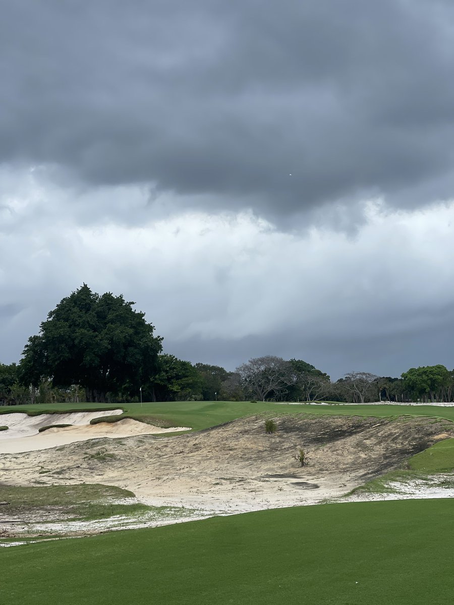 malonso23's tweet photo. @AugustaGolfGirl The Park, West Palm https://t.co/IakObZUTQy