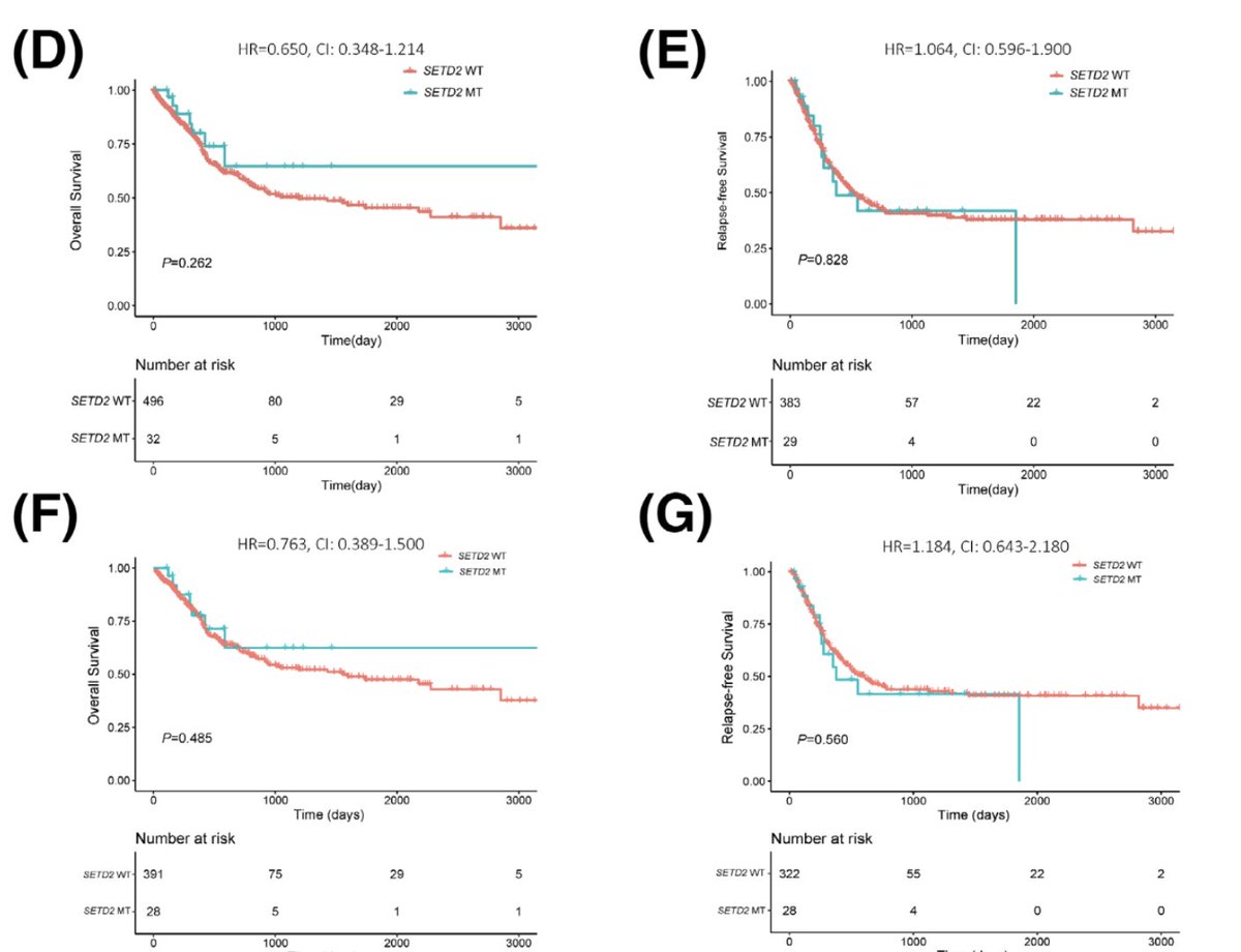 BrJHaem's tweet photo. New insights into the clinical characteristics of SETD2-mutated AML, a short report from Zhang et al: https://t.co/lLEsWpb9HM
#leusm #SETD2 https://t.co/naoo9iHzkF