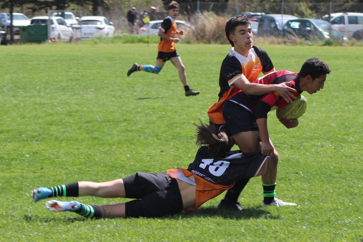 rugby_cat's tweet photo. 🏆 Cinquena Catalana S16 🏆

El Quebrantahuesos/Unizar es van endur la victòria a la final davant els Senglars de Torroella per 57 a 12 🏉

Quatre assajos de l'obertura local Mariano Clos van liderar el triomf aragonès al camp de Los Sotos 🔝 https://t.co/GOoHl0EMXG