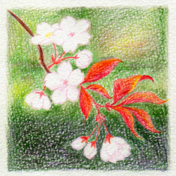 ai_sha_n's tweet photo. \\じゃーん//
自己満足のためにしか絵をかけないと言いつつ
叔母さんに送る用に描いたコレが一番お気に入り。
頑張った
喜んでほしくて。
#Tonbow
#IROJITENおでかけセット https://t.co/nrbZSEPiyW