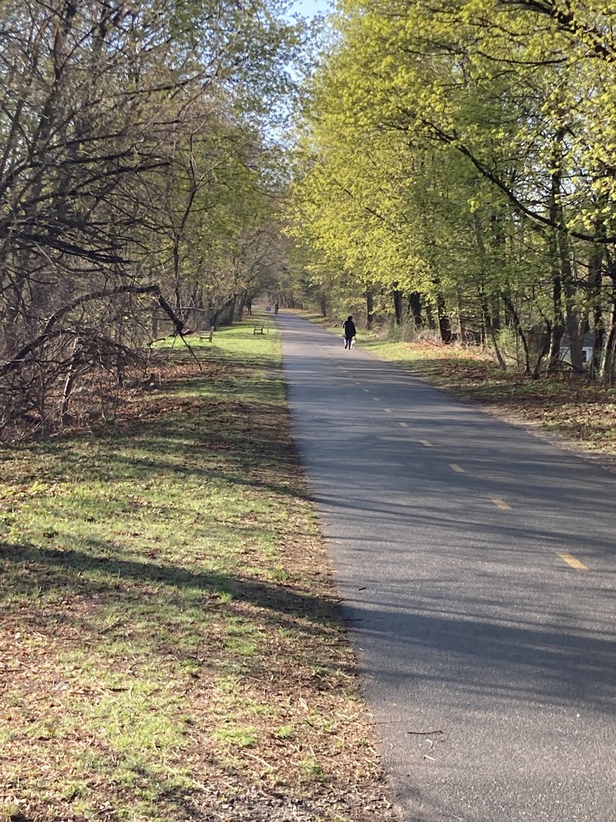Beautiful spring riding this week on the #minutemanbikeway. Trees are leafing out (two weeks earlier than usual this year) and the soft green glow of the season is everywhere right now.