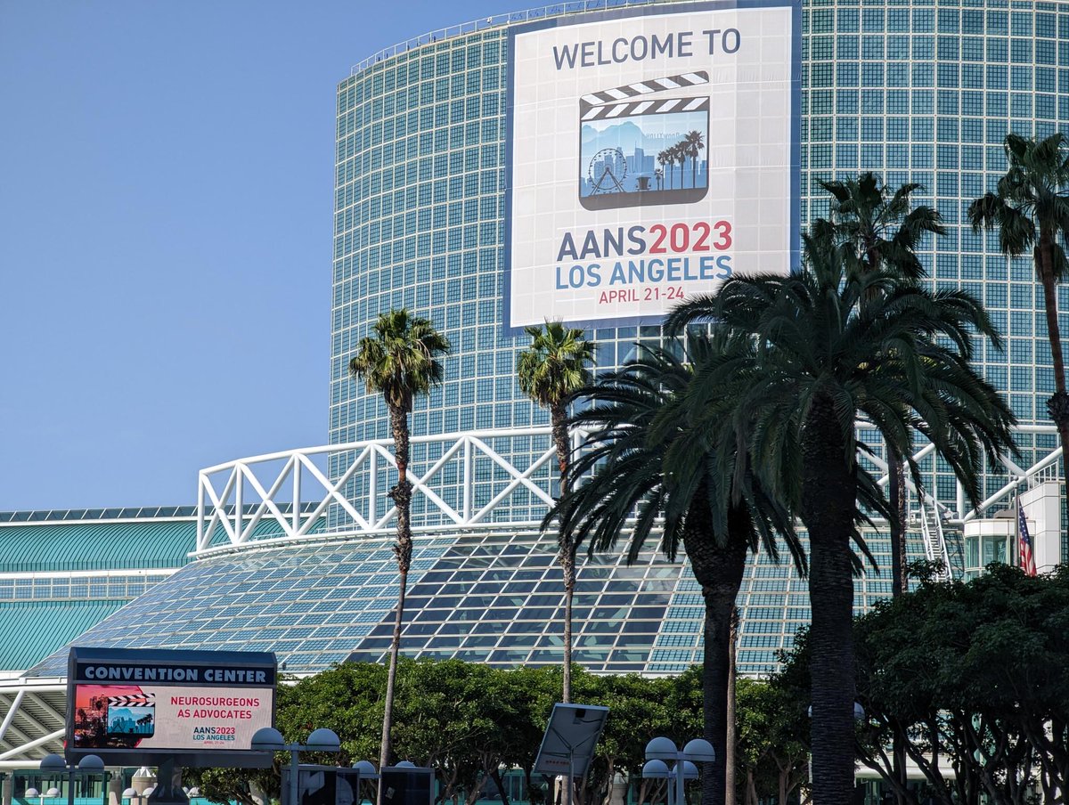 Making our mark on Los Angeles. #AANS2023 starts tomorrow! #neurosurgery ow.ly/c0ur50NN7va