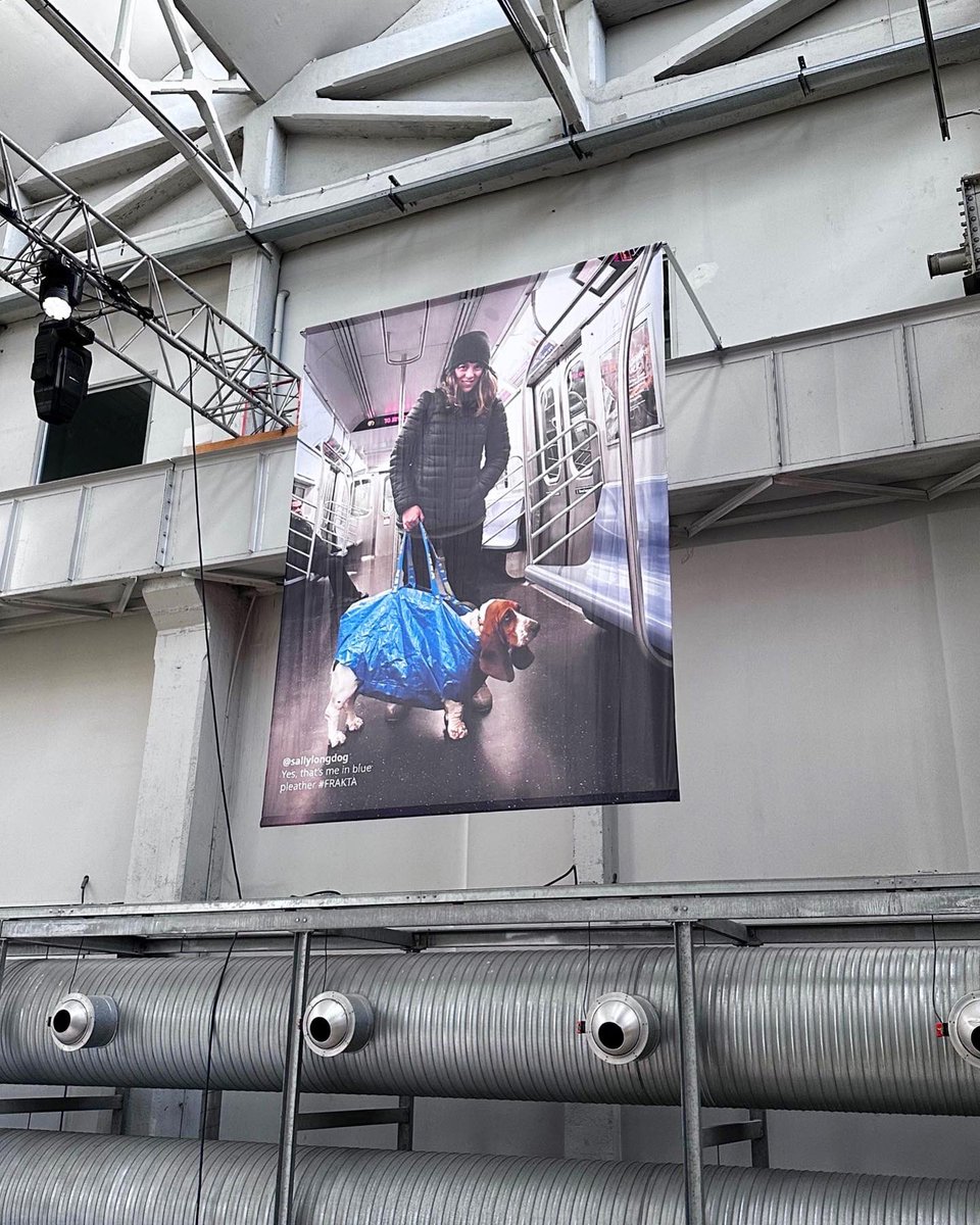 SallyLongDog's tweet photo. Big news here… like 4 meters big! I don’t just travel the subway in a blue FRAKTA bag — I traveled all the way to @ikea’s design fair in Milan. #IKEAdesignweek https://t.co/wzBOZLI7sB