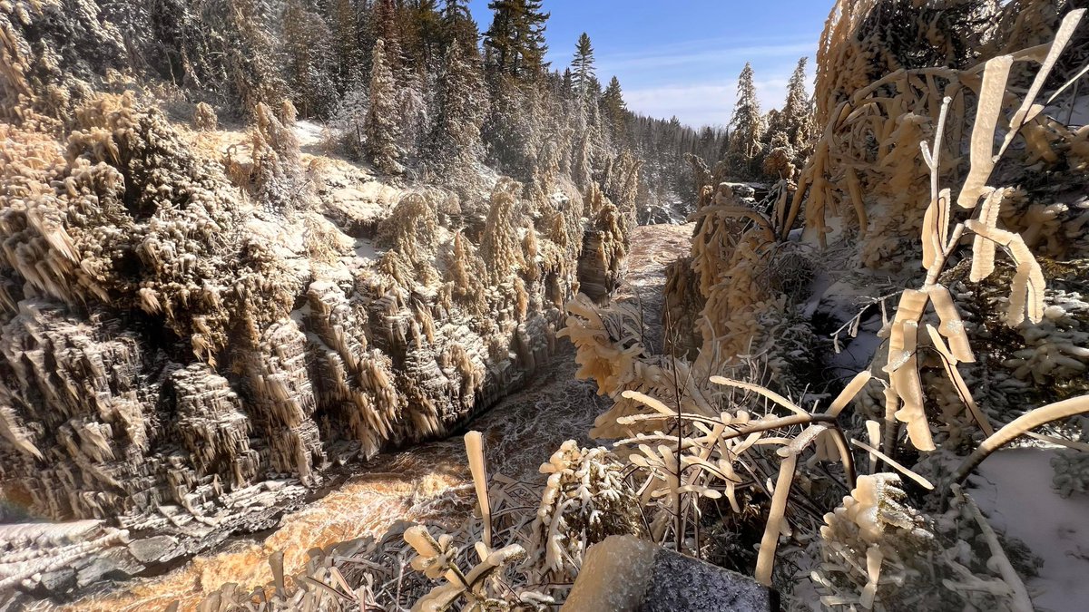 Grand Portage State Park is currently otherworldly 🪐🧊

Due to high-water levels on the Pigeon River and overnight temps that are below freezing, the High Falls viewing platforms and trees at Grand Portage State Park are laminated in an ice buildup.

mndnr.gov/grandportage