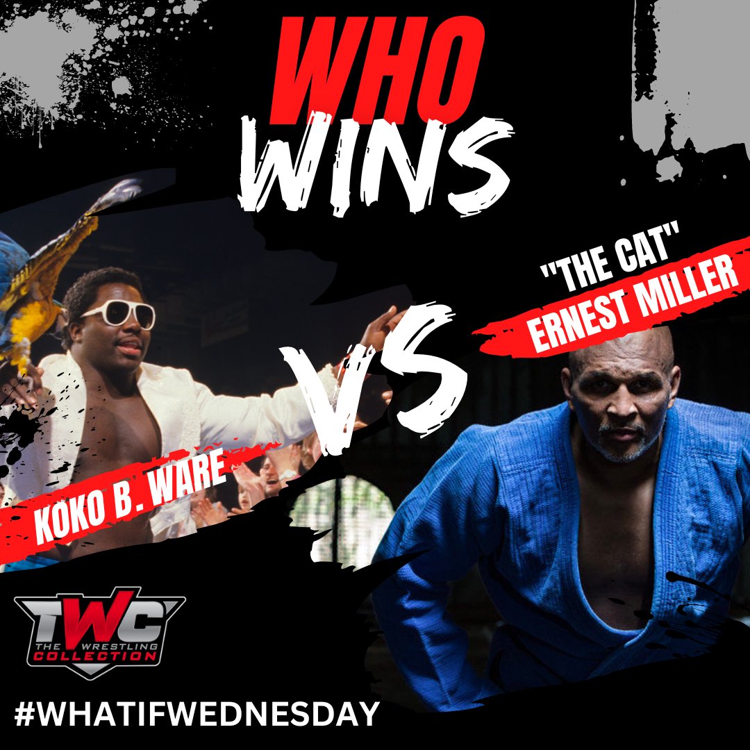 Last week I had a hypothetical battle against <a href="/AustinCreedWins/">Austin Creed</a>, but after seeing <a href="/ernTHECATmiller/">Ernest THECAT Miller</a> interact it is only fitting if we square off this week.

Who walks away the winner of #WhatIfWednesday, Koko B. Ware or <a href="/ernTHECATmiller/">Ernest THECAT Miller</a>?