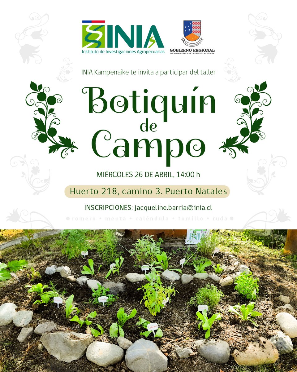 Te invitamos a inscribirte en el taller "Botiquín de campo"🌿
📍Miércoles 26 de abril a las 14:00 horas, Puerto natales
#TallerINIA #botiquin #campo #compost #mihuerto #plantas #Horticulture