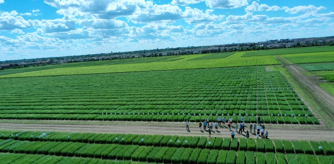 agwestbio's tweet photo. Agriculture researchers at the University of Saskatchewan @usask have been awarded $14 million to support their innovative projects and contributions to the industry.
Learn more about it in our Bio-Bulletin: https://t.co/MrJ0oJEh9d
@CDC_USask #biobulletin #cropscience https://t.co/MUrwVALlWX