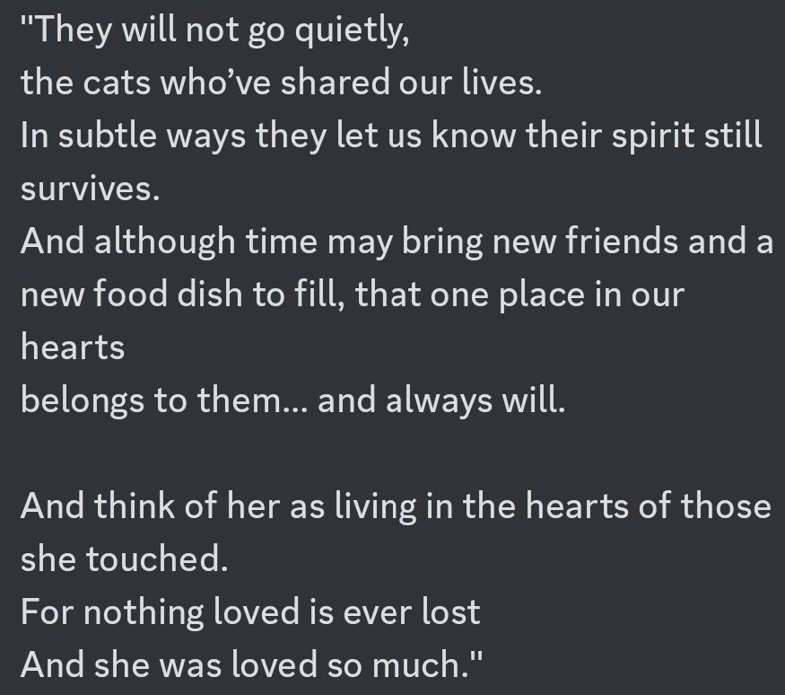 🤍🖤 Lilly 1.3.11-10.4.23