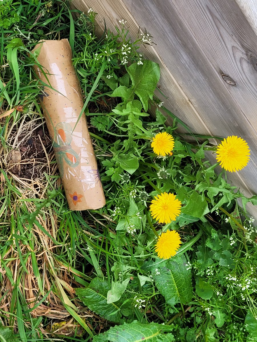 westheathprim's tweet photo. We have put some of our bug hotels out into forest school. We are hoping some of our magnificent minibeasts come for a stay! #WHPSClass8 #WHPSClass7 #WHPSScience #BSW23 https://t.co/HwJpfz9l6v