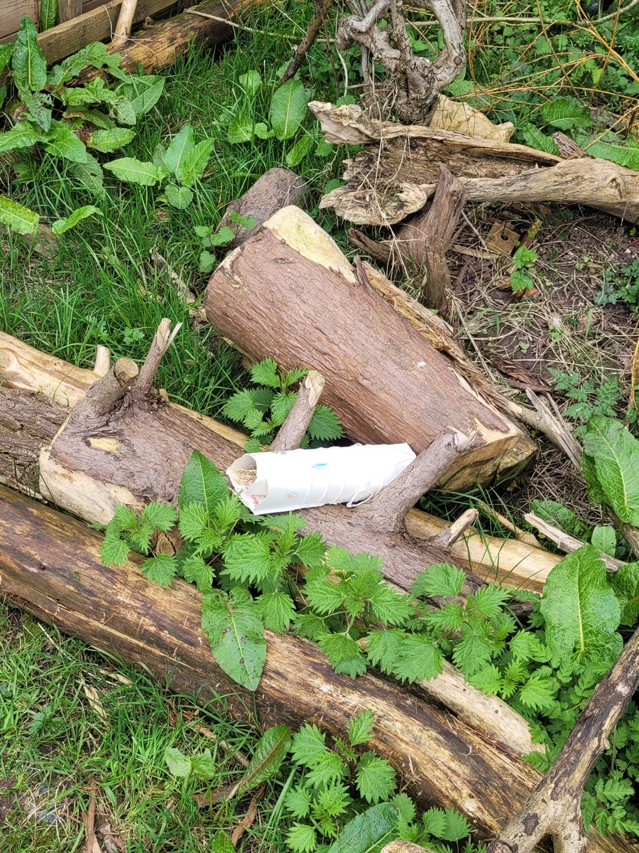 westheathprim's tweet photo. We have put some of our bug hotels out into forest school. We are hoping some of our magnificent minibeasts come for a stay! #WHPSClass8 #WHPSClass7 #WHPSScience #BSW23 https://t.co/HwJpfz9l6v