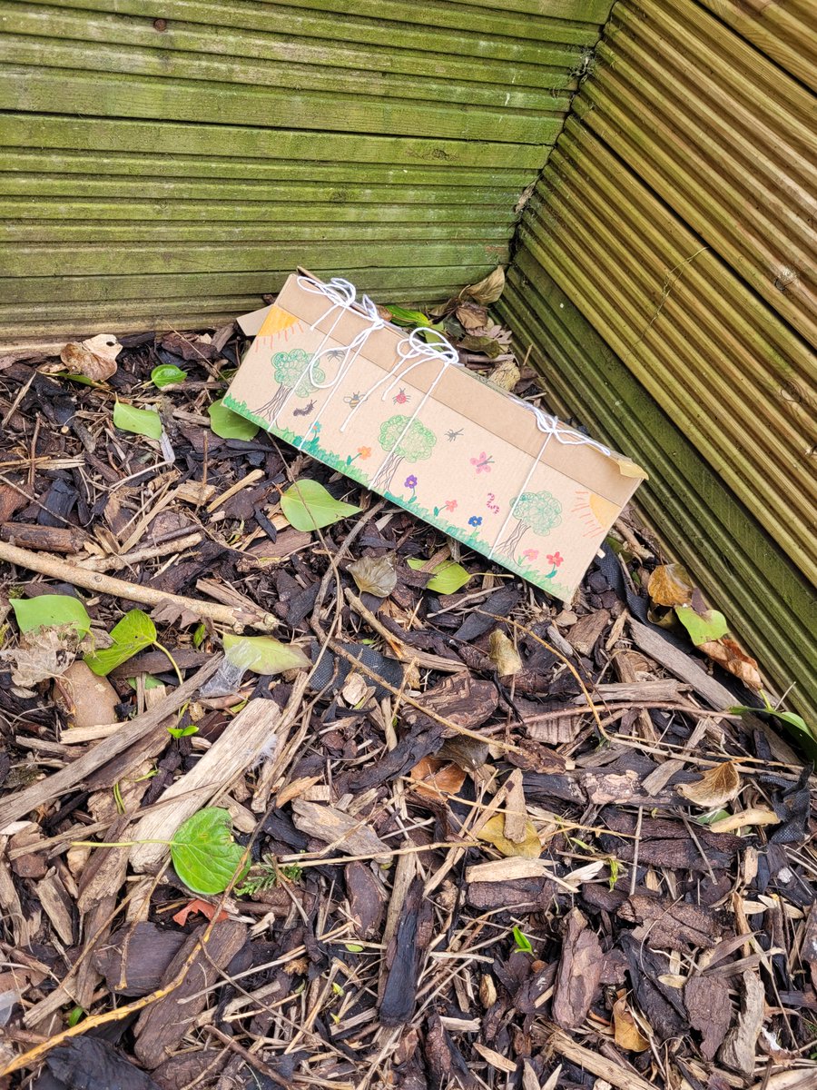 westheathprim's tweet photo. We have put some of our bug hotels out into forest school. We are hoping some of our magnificent minibeasts come for a stay! #WHPSClass8 #WHPSClass7 #WHPSScience #BSW23 https://t.co/HwJpfz9l6v