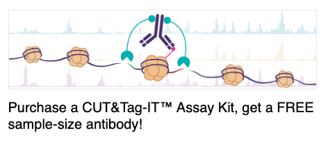 activemotif's tweet photo. Are you doing CUT&Tag, but struggle to find antibodies validated for this relatively new method?
When you purchase our kit, you can get a FREE antibody to try it out! Learn more: https://t.co/5qglbjUASa
#CUTnTag #Epigenetics #Transcriptomics #Genomics https://t.co/OGYiPZ1cS9