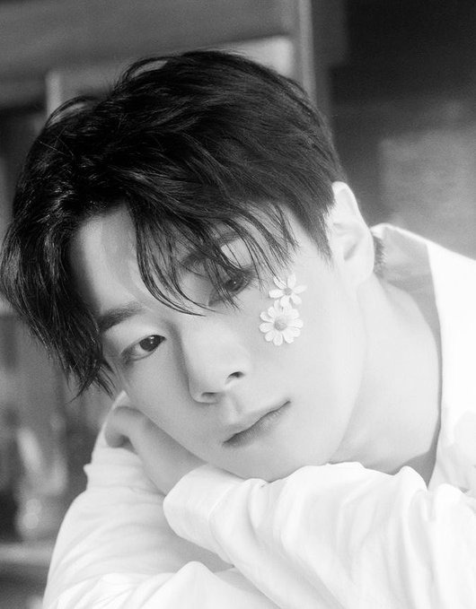 ArmyBoy_twt's tweet photo. Vuela alto ángel 

#moonbin #astro https://t.co/owYzaZuadn
