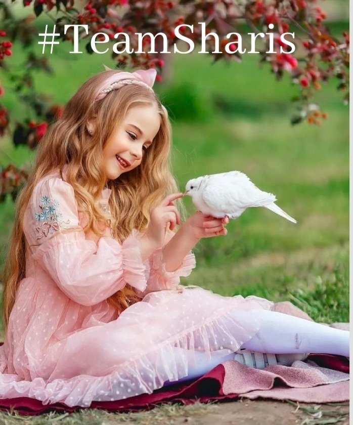 miarianmoreno's tweet photo. π#TeamShar
ππππ
@SharisLind
@SharisLind2
πππ
@miarianmoreno
@Cptn_Fandango
@LeonaMarielah
@saulChvezramn1
@IreneVarMex2
@insaurraldeh
ππ
@janguilo71
@rommyhm18
@MaxiF4F
@ElBlondyRD
@sdh_2031
ππ
@mamiRD_
@MDASOT1
@XDTVI17
@onofrecuevas
@miarianmoreno
@BenedictoLozano https://t.co/wppoYk7s60