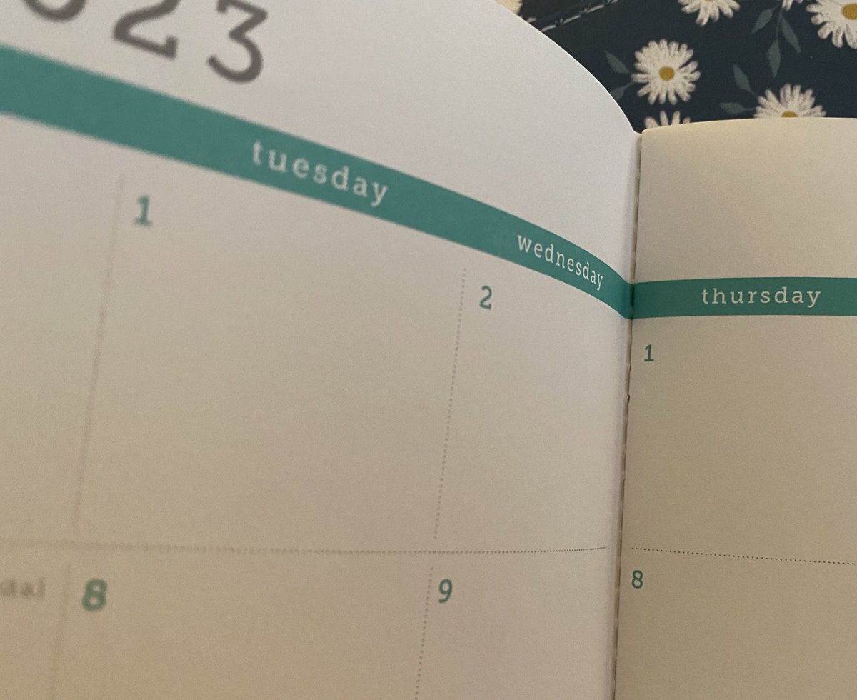 Karen D (캐렌 디) tweet media