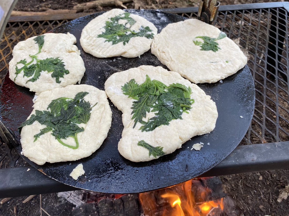 dpsforestschool tweet media