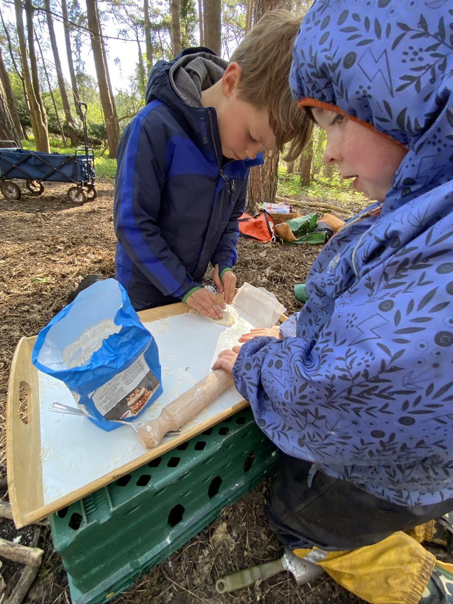 dpsforestschool tweet media