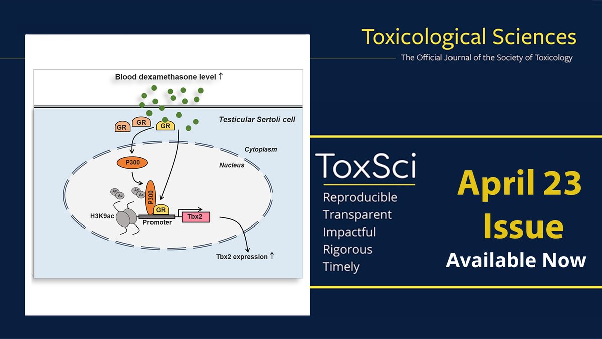 ToxSci's tweet photo. The April issue of #ToxSci is available online https://t.co/N8QHaWHCaN https://t.co/ofvXIIeiJJ