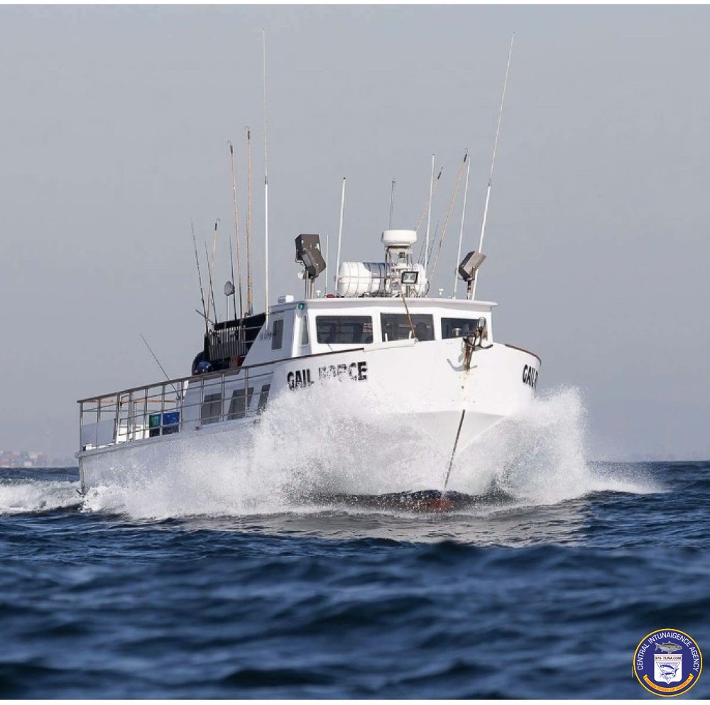 976tuna's tweet photo. Gail Force Catalina Island this Sunday! https://t.co/IdXZHqYf2P #gailforce #lawaterfrontsportfishing #fish #fishing #fishingtrip #oceanfishing #socalfishing #fishingtrip #goodtimes #hottrip #livebait #saltlife #saltwater #tasty #thetugisthedrug #sanpedro https://t.co/RIQY1C4I9N