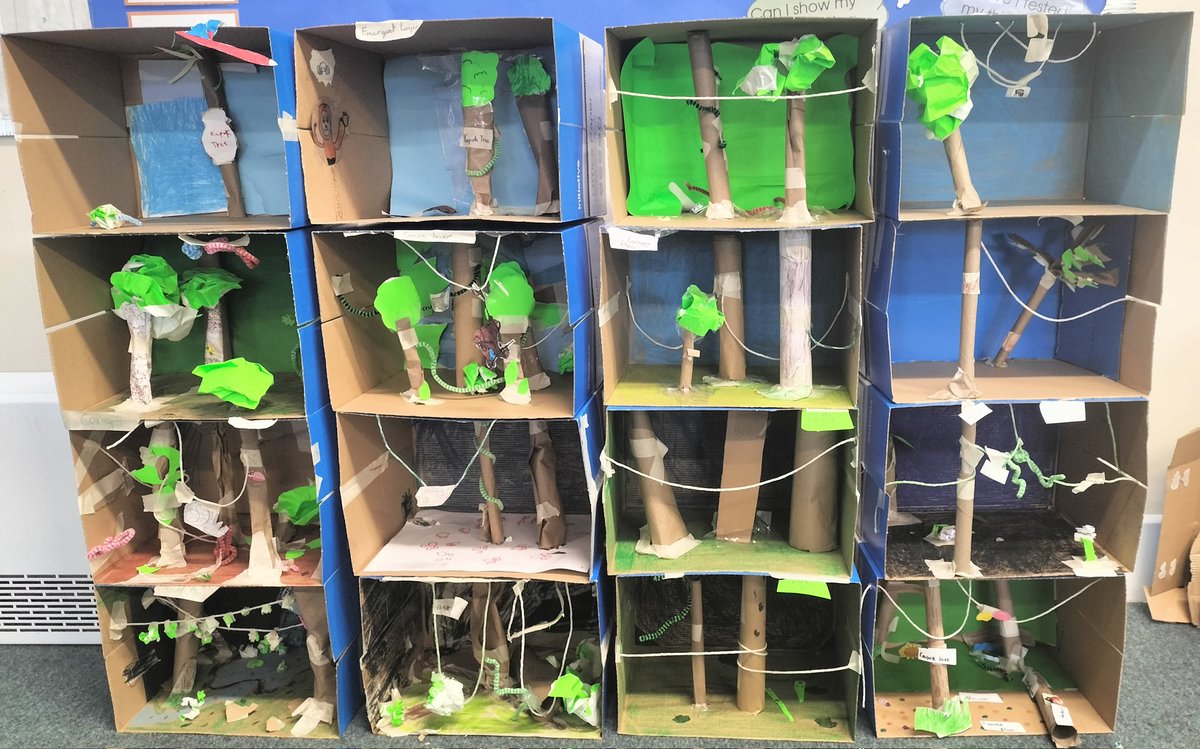 HighwoodPrim3R's tweet photo. We really enjoyed showing great Teamwork today when making our rainforest dioramas. We not only had to work in pairs to make a layer of the rainforest (Emergent, Canopy, Understory or Forest floor) but we also had to try and work with others to ensure all the levels matched up! https://t.co/04w96p765V