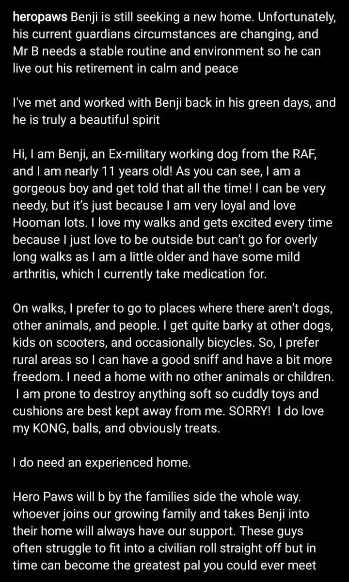 HERO PAWS tweet media
